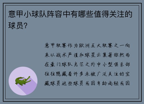 意甲小球队阵容中有哪些值得关注的球员？